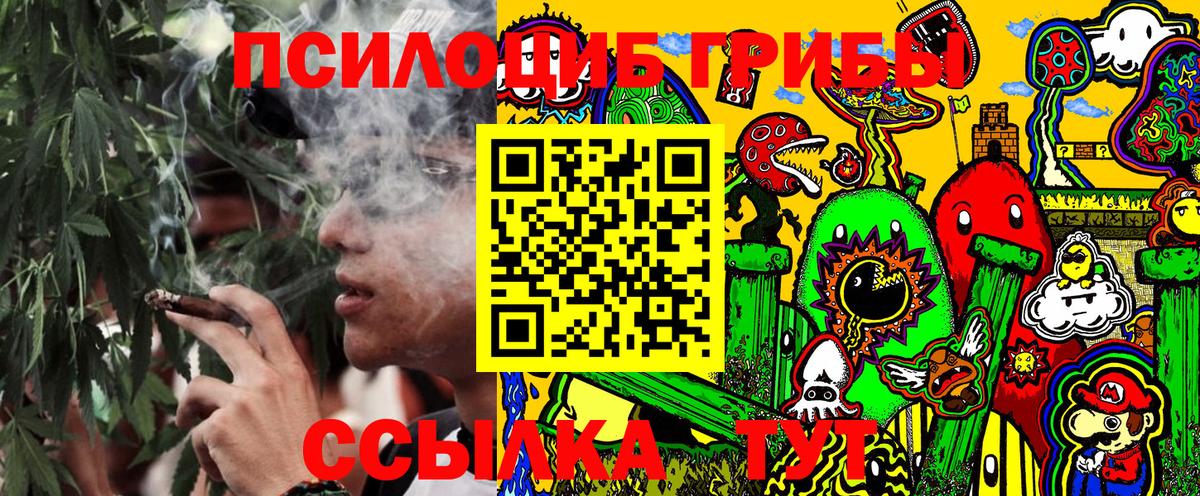 Псилоцибиновые грибы Psilocybe Касимов